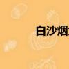 白沙煙為什么不能抽（白沙煙）