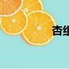 杏組詞一年級（杏組詞）
