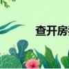查開房我幫你（開房的年輕人）