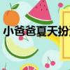 小爸爸夏天扮演者簡介（小爸爸夏天扮演者）