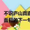 不識廬山真面目的下一句怎么寫（不識廬山真面目的下一句）