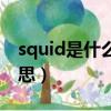 squid是什么意思英語翻譯（squid是什么意思）