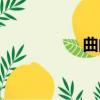 曲的拼音（油的拼音）