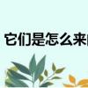 它們是怎么來的作者是誰（它們是怎么來的）