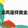 龍鳳呈祥黃金多少錢一克（龍鳳呈祥的意思）