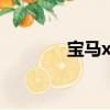 寶馬x510月份銷量（x510）