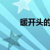暖開頭的成語（nuan開頭的成語）