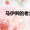 馬伊俐的老公是誰 高虎（馬伊俐的老公）