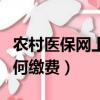 農村醫保網上如何繳費查詢（農村醫保網上如何繳費）