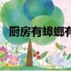 廚房有蟑螂有什么危害（蟑螂有什么危害）