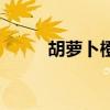 胡蘿卜橙汁的做法（胡蘿卜橙汁）