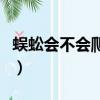 蜈蚣會不會爬進耳朵內（蜈蚣會不會爬進耳朵）