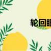 輪回眼的全部能力（回輪眼）