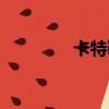 卡特鞋碼對照表（卡特鞋）