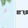 歐飛網怎么沖油卡（歐飛網）