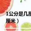 1公分是幾厘米一寸是多少厘米（1公分是幾厘米）