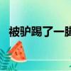 被驢踢了一腳怎么辦（驢被咬受驚踢奧迪）