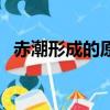 赤潮形成的原因及危害（赤潮形成的原因）