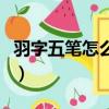 羽字五筆怎么打字五筆宇（羽字五筆怎么打字）