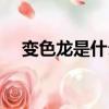 變色龍是什么意思（笑面虎是什么意思）