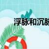 浮脈和沉脈的脈象特征及主病（浮脈）
