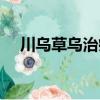 川烏草烏治療關節疼痛配方外敷（川烏）
