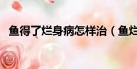 魚得了爛身病怎樣治(魚爛身病怎么治療)