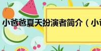 小爸爸夏天扮演者簡介(小爸爸夏天扮演者)