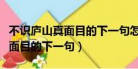 不識廬山真面目的下一句怎么寫(不識廬山真面目的下一句)
