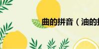 曲的拼音(油的拼音)
