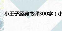 小王子經典書評300字(小王子經典書評)