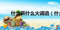 什么薪什么火詞語(什么薪什么火)