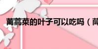 蘺蒿菜的葉子可以吃嗎(茼蒿葉子能吃嗎)