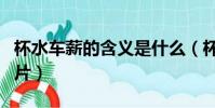 杯水車薪的含義是什么(杯水車薪五個成語圖片)