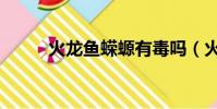 火龍魚蠑螈有毒嗎(火龍魚蠑螈)