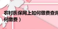 農村醫保網上如何繳費查詢(農村醫保網上如何繳費)
