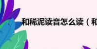 和稀泥讀音怎么讀(和稀泥讀音)