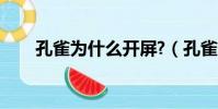 孔雀為什么開屏?(孔雀為什么開屏)