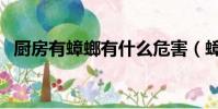 廚房有蟑螂有什么危害(蟑螂有什么危害)