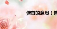 俯首的意思(俯首)