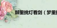 醉里挑燈看劍(夢里挑燈看劍)