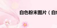 白色粉末圖片(白色粉末)