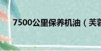 7500公里保養機油(芙蓉出水妒花鈿)