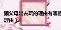 騙父母出去玩的理由有哪些(騙父母出去玩的理由)