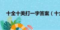 十全十美打一字答案(十全十美打一字)
