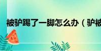被驢踢了一腳怎么辦(驢被咬受驚踢奧迪)