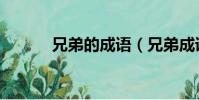 兄弟的成語(兄弟成語有哪些)