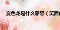 變色龍是什么意思(笑面虎是什么意思)