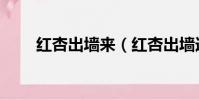 紅杏出墻來(紅杏出墻連的近義詞)