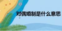 對偶婚制是什么意思(對偶婚)